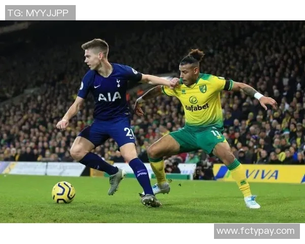 热刺与诺维奇精彩对决瞬间回顾图片集锦分享